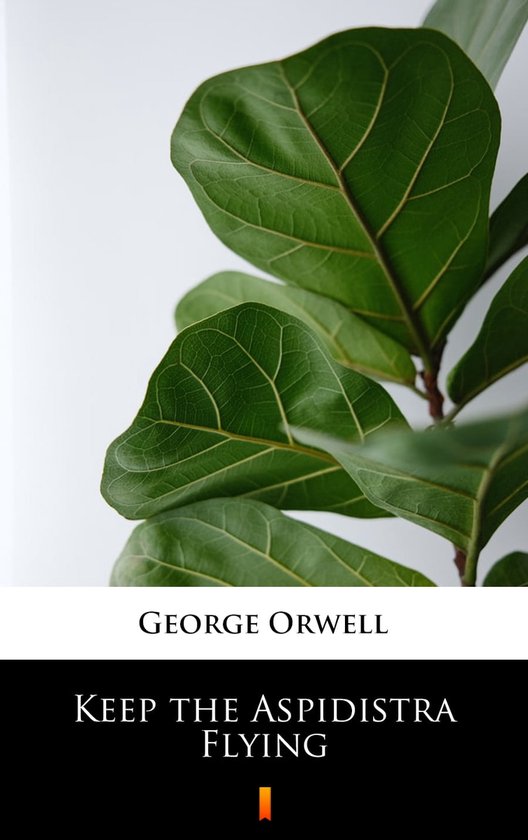 Keep the Aspidistra Flying (ebook), Orwell 9788382920963 Boeken bol