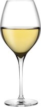 Nude - Wittewijnglazen - Wijn - Glazen - Vinifera - 0,36L - 2 stuks