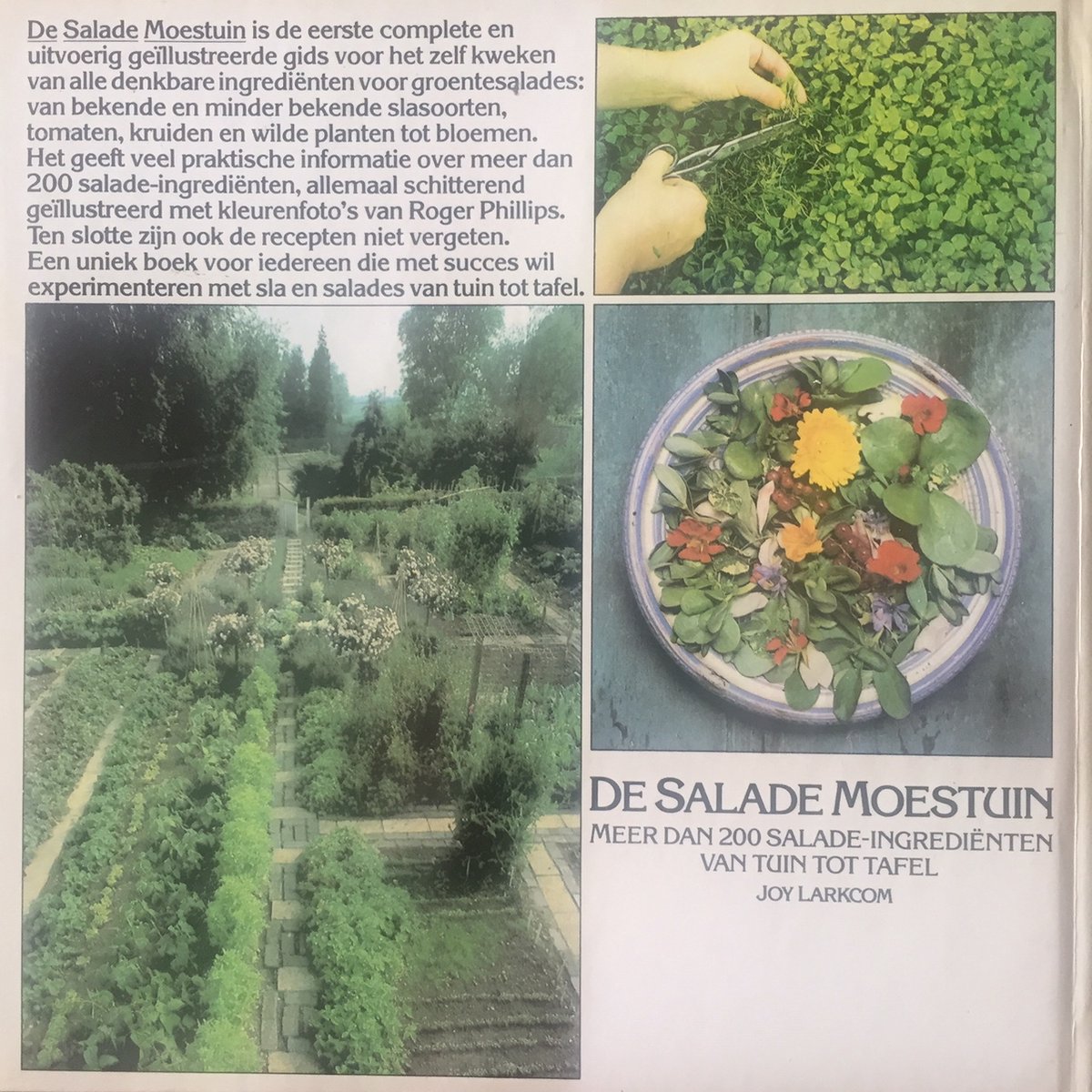 Vloeibaar slank Waardeloos De salade moestuin, Joy Larkcom | 9789027490254 | Boeken | bol.com