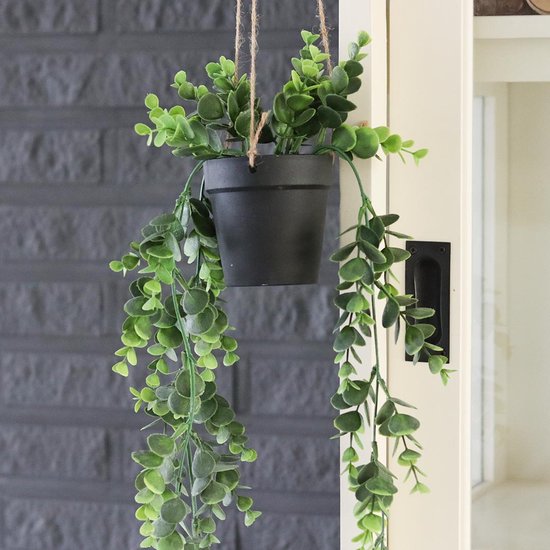 Hangmand - Hang potje Senecio - Hangplant in pot - Aan Touw 65cm - Kunststof Plant in pot - Plantenhanger