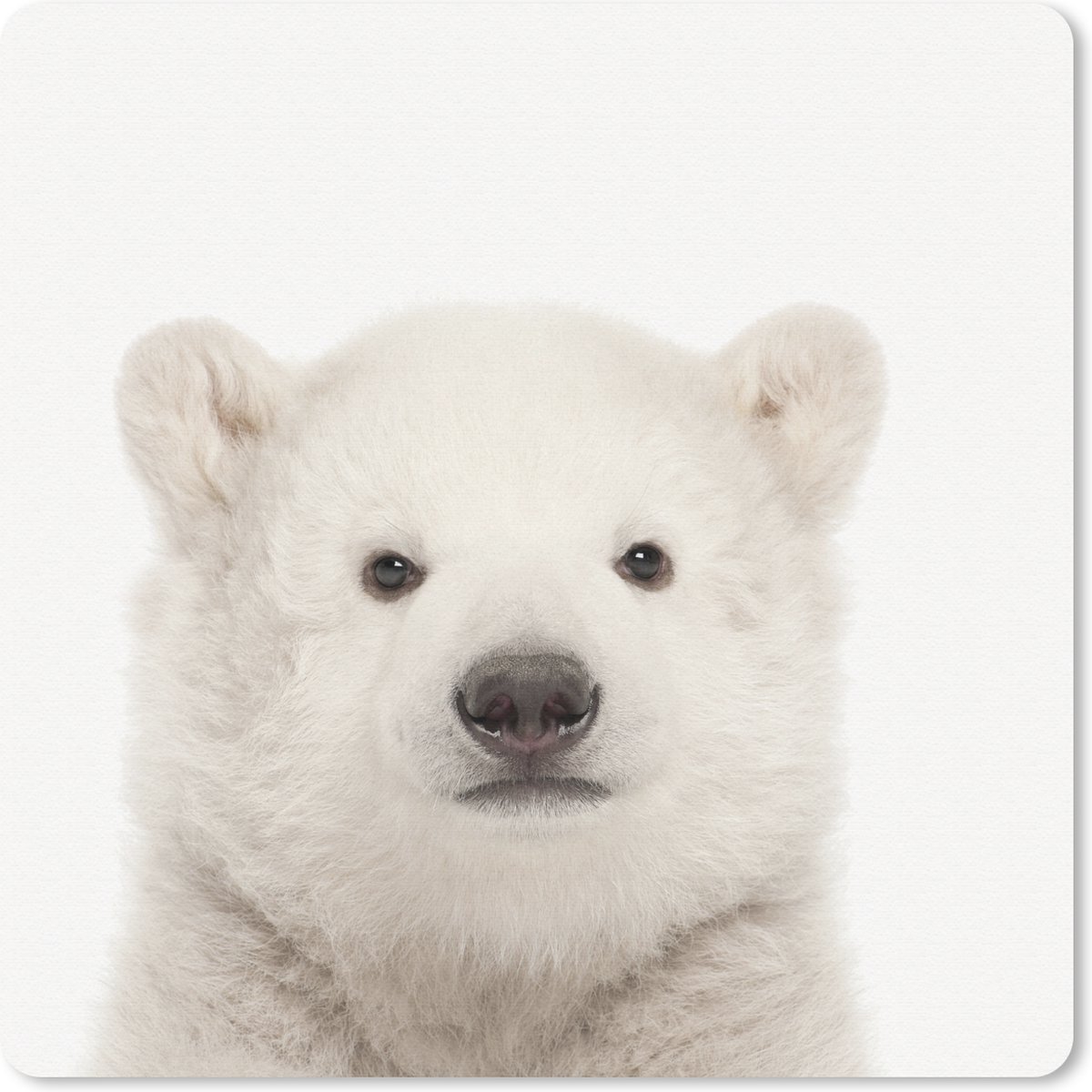 Muismat 30x30 cm - Mousepad IJsbeer - Dieren - Wit - Kinderen - Jongens - Meisjes - Muismatten