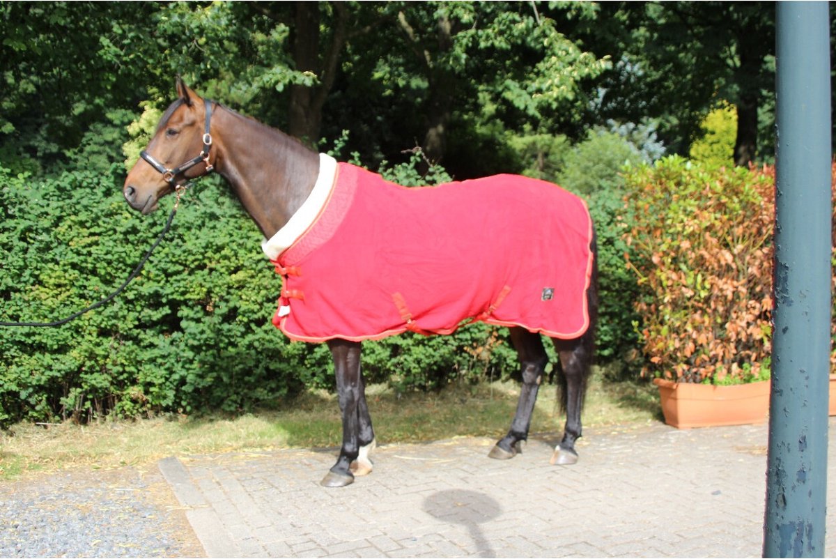 MHS Fleecedeken Deluxe 60/80 cm Rood