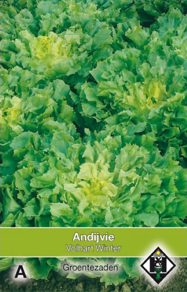 Van Hemert - Andijvie Breedblad Volhart Winter