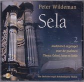Sela 2 - Peter Wildeman bespeelt het Van Oeckelen-orgel van de Rehobothkerk te Tholen