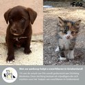 Een bruine puppy en een schildpadkleurige kitten. Met uw aankoop helpt u zwerfdieren in Griekenland.