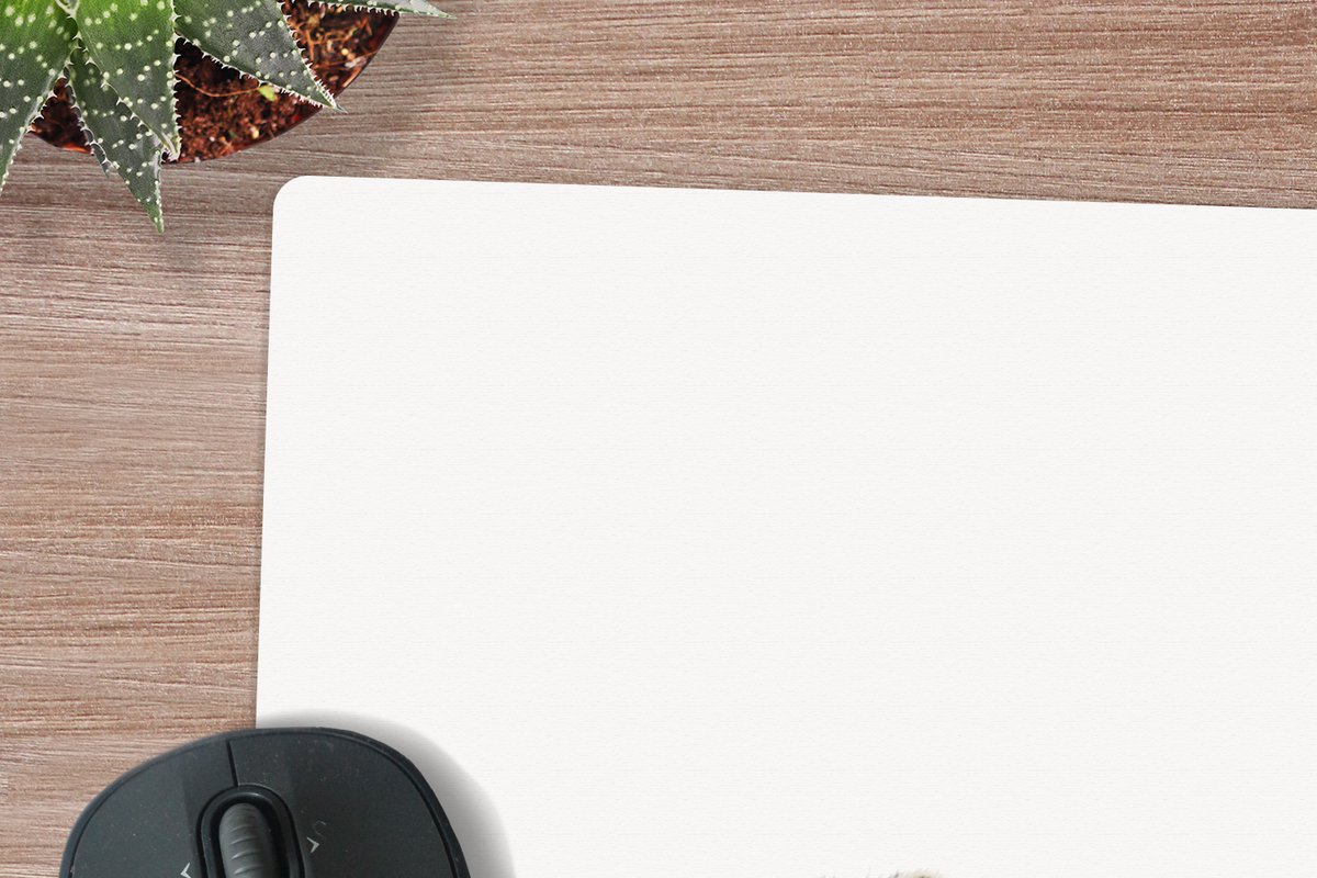 Muismat XXL 60x60 cm - Bureau onderlegger - Bureau mat Wasbeer - Dieren - witte achtergrond -Jongens - Meisjes - Kinderen - Bureaumat - Gaming mousepad xl - Bureaulegger groot - Computer deskmat