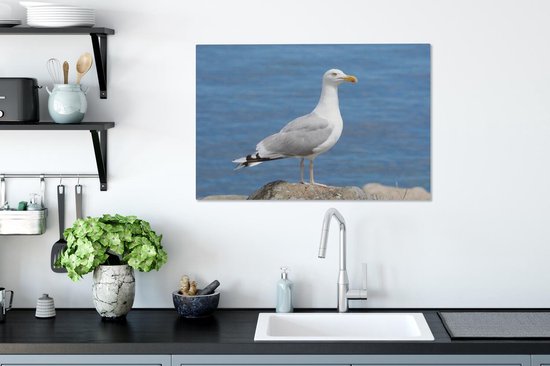 Un goéland argenté avec la mer en arrière-plan Toile 60x40 cm - Tirage photo sur toile (Décoration murale salon / chambre)