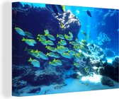 Un banc de poissons de mer nage parmi les récifs coralliens sombres toile 90x60 cm - Tirage photo sur toile (Décoration murale salon / chambre)