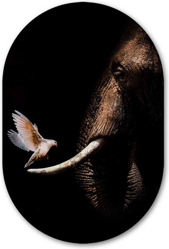 Muurovaal Olifant met duif - WallCatcher | Geborsteld Aluminium 80x120 cm | Ovalen schilderij | Wandovaal Elephant with Pigeon