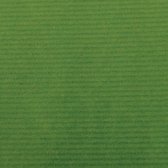Canson kraftpapier formaat 68 x 300 cm groen