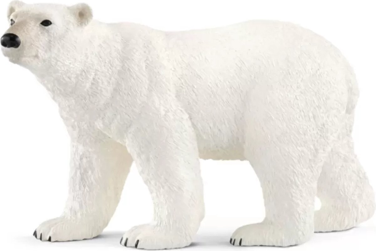 schleich WILD LIFE - Ijsbeer - Speelfiguur - Kinderspeelgoed voor Jongens en Meisjes - 3 tot 8 jaar - 14800 — afbeelding 7