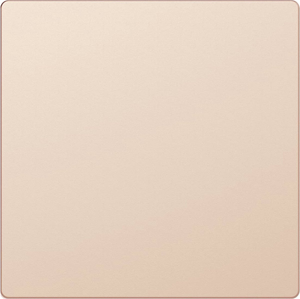 Blindplaat - Kunststof - Sahara - Systeem Design - Schneider Electric - MTN4075-6033