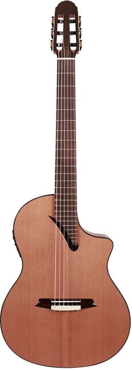 classic guitar, solid cedar top, mahogany b&s, pau ferro fb, 650mm scale, Fishman Presys Blend