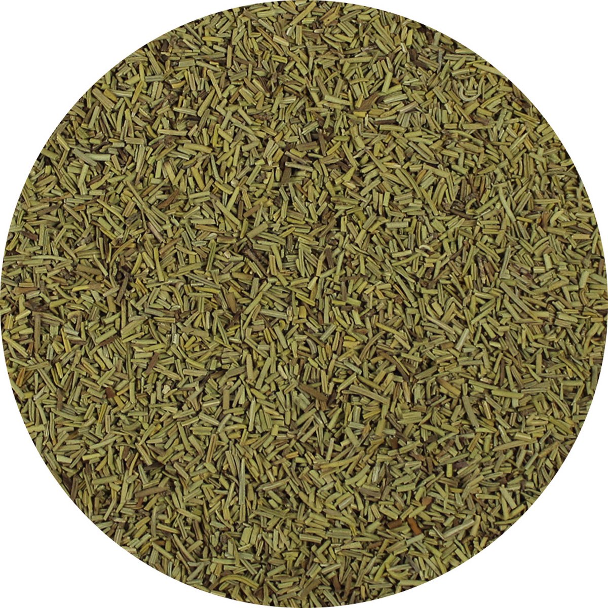 Goedkoopste Van Beekum Specerijen - Rozemarijn Gebroken - 10 KG - Zak (bulk verpakking