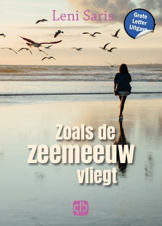 Zoals de zeemeeuw vliegt - cover