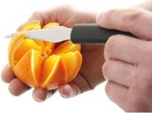 evenwichtig Mevrouw paperback Hendi Grapefruitmes RVS - Professioneel Grapefruitmesje - Fruitmes - 21cm -  Lengte... | bol.com