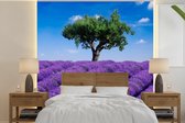 Behang - Fotobehang Een close-up van een lavendelveld - Breedte 240 cm x hoogte 240 cm