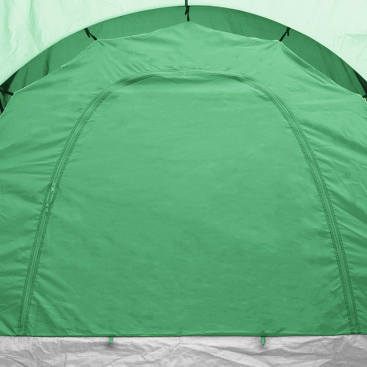 vidaXL - Tent - 6-persoons - blauw - en - groen – foto 5