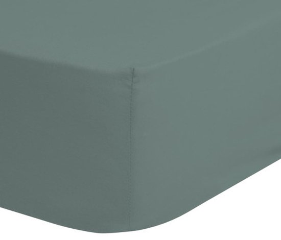 Hoeslaken Good Morning Jersey 180 X 220 Cm Katoen Vert