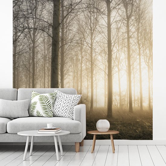 Papier Peint - Papiers Papier peint photo Forêt - Soleil - Brouillard - Largeur 300 cm x Hauteur 300 cm