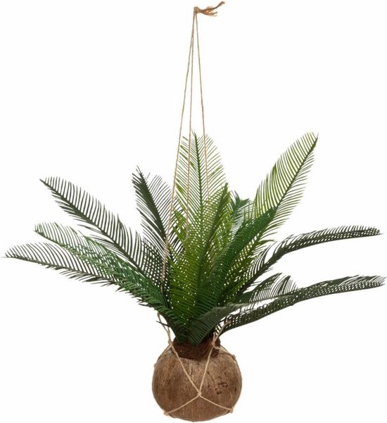 Hangende Kunst palm in echte Coconut pot – 50 cm