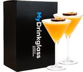 MyDrinkglass Plastic Martini Glas Turijn | Plastic Martini Glazen | 2 Stuks | Camping Glazen | Zero Waste | Herbruikbaar | Onbreekbaar Martini Glas | 200 ml |