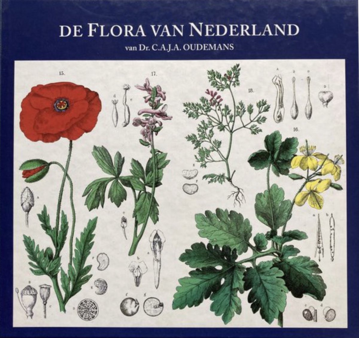 Ondraaglijk Onhandig borstel De flora van Nederland van dr. C.A.J.A. Oudemans, Louis de Koning |  9789061137542 | Boeken | bol.com