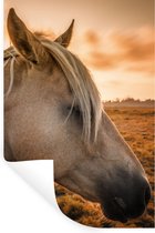 Muurstickers - Sticker Folie - Paard - Dieren - Portret - 60x90 cm - Plakfolie - Muurstickers Kinderkamer - Zelfklevend Behang - Zelfklevend behangpapier - Stickerfolie