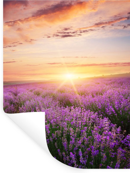 Kiwistar Freude ist Das Leben... Wall Sticker in 6 Sizes