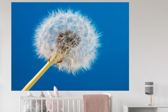 Stickers muraux - Film autocollant - Pissenlit - Bloem - Terrasse - 160x120 cm - Film adhésif - Stickers muraux Chambre d'enfant - Papier peint autocollant XXL