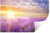 Stickers Stickers muraux - Lavande - Soleil - Ciel - Nature - 120x80 cm - Feuille adhésive