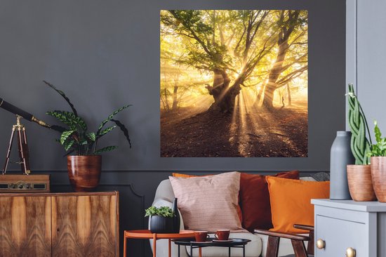 Stickers muraux - Arbre - Forêt - Soleil - 100x100 cm - Film adhésif XXL