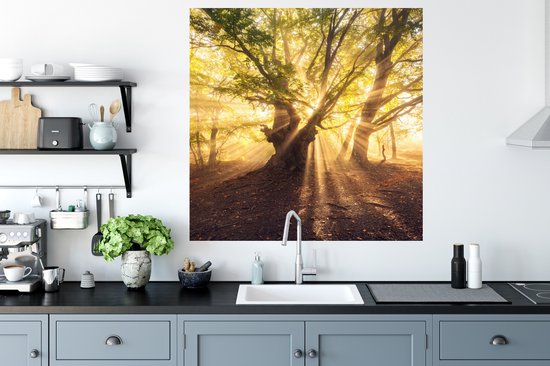 Stickers muraux - Arbre - Forêt - Soleil - 100x100 cm - Film adhésif XXL