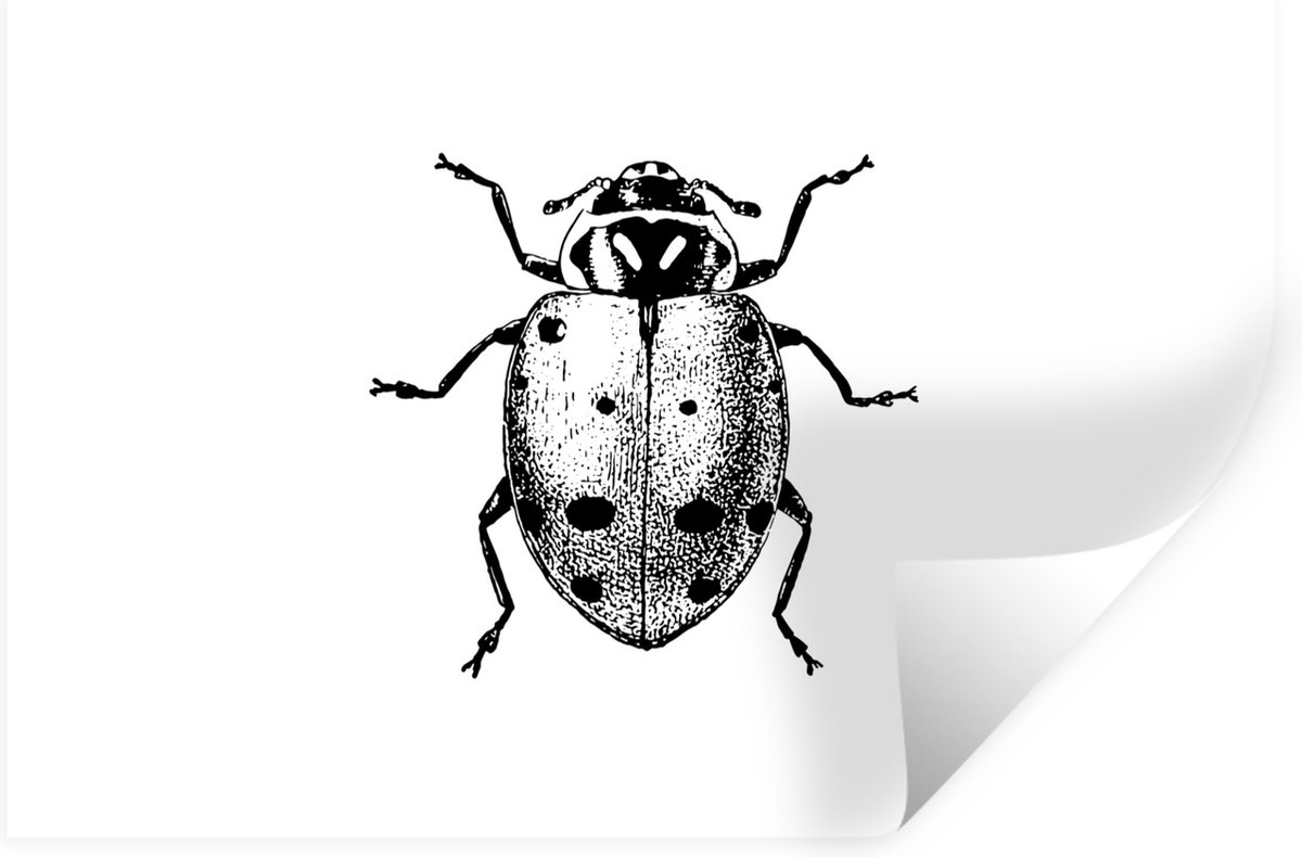 Muurstickers - Sticker Folie - Vintage - Lieveheersbeestje - Insecten - Zwart wit - 120x80