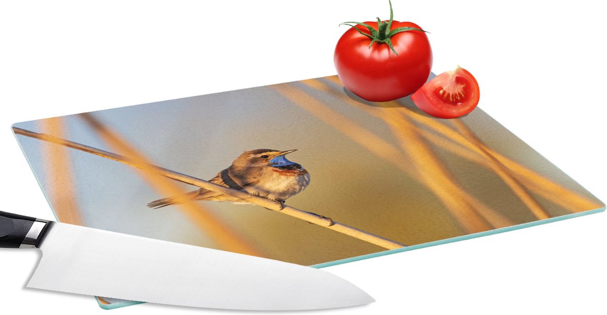 Glazen Snijplank - 28x20 - Vogels - Blauwborst - Riet - Snijplanken Glas