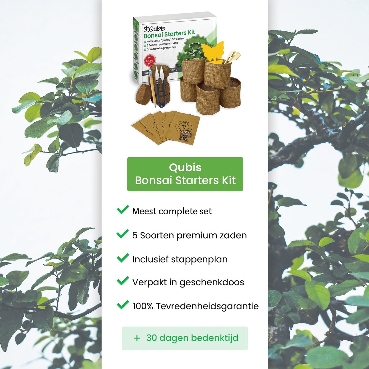 Grow2Go Bonsai Kit Avec Ebook Gratuit - Bonzai Set Avec Mini-Serre