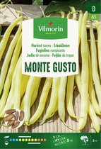 Vilmorin- staakboon- Monte Gusto- V085