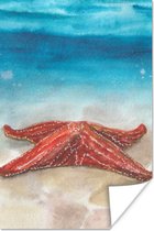 Poster Zeester - Waterverf - Zee - 80x120 cm