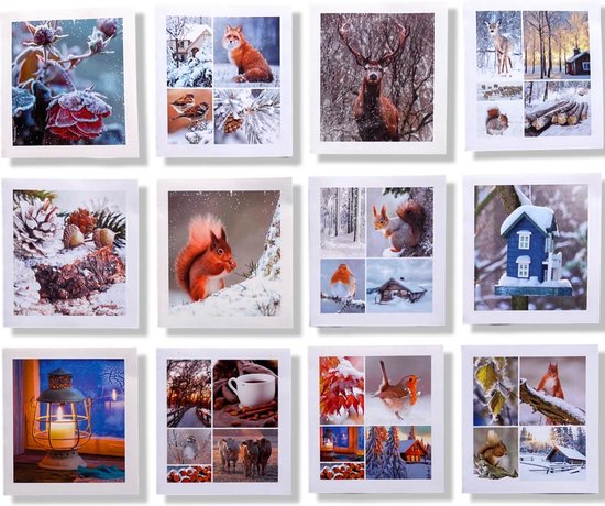 12 Luxe Kerst / Winter wenskaarten zonder tekst - 12x11cm - Gevouwen kaarten met envelop