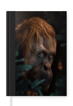 Carnet - Carnet d'écriture - Jungle - Papillon - Singe - Carnet - Format A5 - Bloc-notes