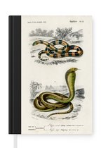 Notitieboek - Schrijfboek - Slang - Vintage - Reptielen - Notitieboekje klein - A5 formaat - Schrijfblok