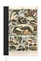 Notitieboek - Schrijfboek - Dieren - Natuur - Reptielen - Notitieboekje klein - A5 formaat - Schrijfblok