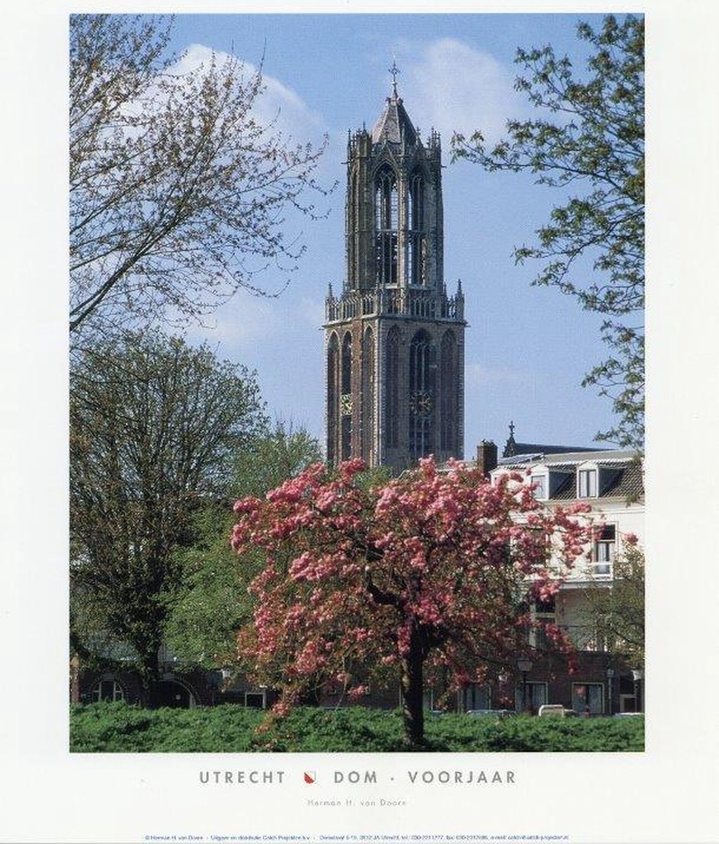 Catch Projecten Dom (voorjaar) - Herman van Doorn - Utrechtse Poster - 35 x 50 cm Multicolor