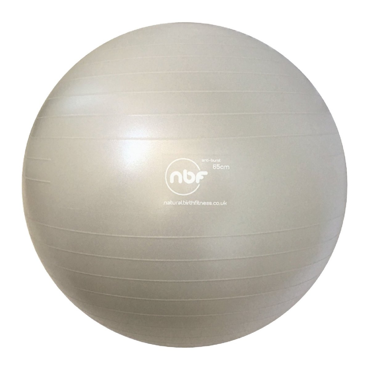 Birth Ball - 65 cm - zilver - Natural Birth & Fitness Ball met pomp - Zwangerschapsbal