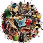 50 insecten stickers - 50 stuks voor laptop, muur, agenda etc. - Met vlinders, spinnen, kevers etc.