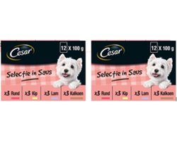 2x Cesar Maaltijdzakje Adult In Saus Multipack - Hondenvoeding - 12x100g