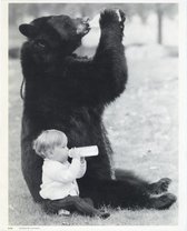 Mini zwart-wit poster - Drinking Bear - Rex - 24x30 cm