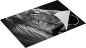Chefcare Inductie Beschermer Leeuw - Leeuwenkop - Zwart Wit - 76x51,5 cm - Afdekplaat Inductie - Kookplaat Beschermer - Inductie Mat