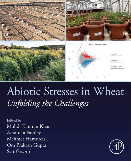 Abiotic Stresses in Wheat - cover