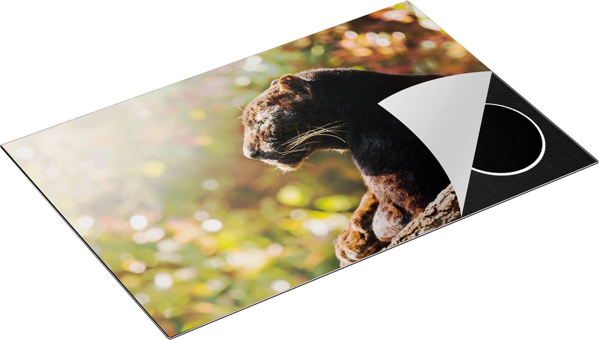 Chefcare Inductie Beschermer Zwarte Panter vanaf de Zijkant - 80x52 cm - Afdekplaat Inductie - Kookplaat Beschermer - Inductie Mat
